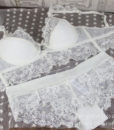 French Famous brand transparent bra romantic temptation lace bra set young women underwear set push up bra and panty set BS307 3