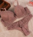 [Cheap]New 16 Lace Embroidery Bra Set Women Plus Size Push Up Underwear Set Bra and Panty Set 32 34 36 38 ABC Cup For Female 1